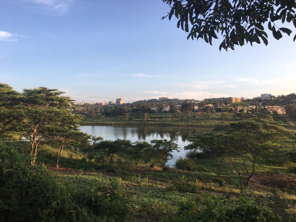 One Full Day Birding  Around Kigali